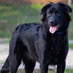 Photo of OSO