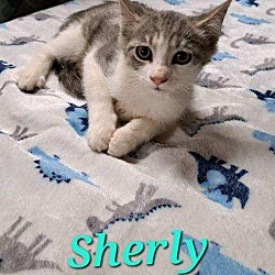 Photo of Sherly