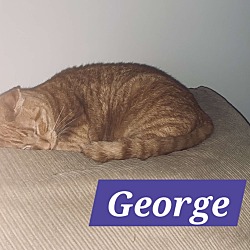 Thumbnail photo of George & Millie #2