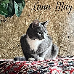 Photo of Luna May