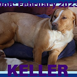 Thumbnail photo of KELLER - $100 #2