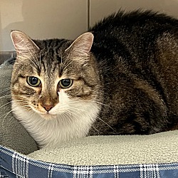 Photo of Flerken