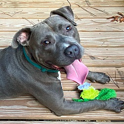 Photo of Tank