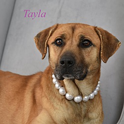 Photo of Tayla