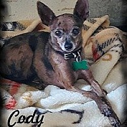 Photo of CODY