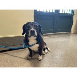 Photo of OLIVER