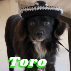 Thumbnail photo of Turo #1