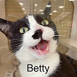 Thumbnail photo of Betty #2