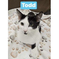 Thumbnail photo of Todd #2