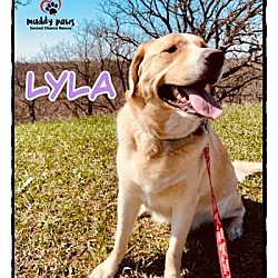 Thumbnail photo of Lyla #4