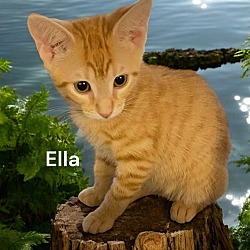 Thumbnail photo of Ella #1