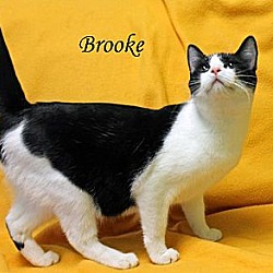 Photo of Brooke