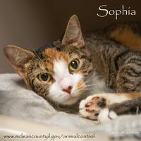 Photo of SOPHIA