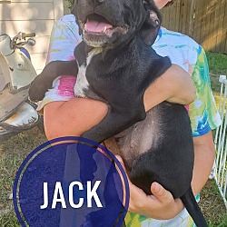 Thumbnail photo of Jack #3