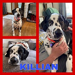 Photo of Killian