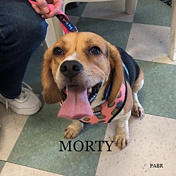 Photo of MORTY