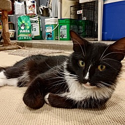 Photo of Tom Jr.