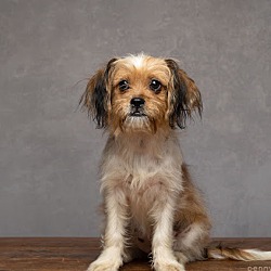 Photo of Lizzie