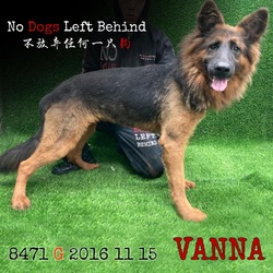 Thumbnail photo of Vanna 8471 #2