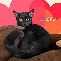 Thumbnail photo of DEBBIE #1