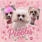 Pebbles