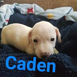 Photo of Caden