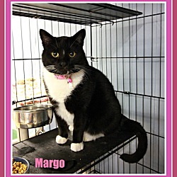 Thumbnail photo of Margo #2