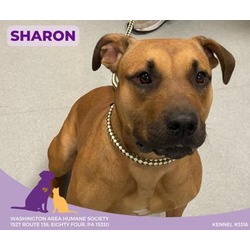 Thumbnail photo of Sharon #2