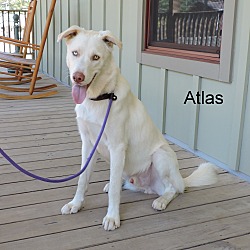 Thumbnail photo of Atlas #3