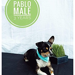 Photo of Pablo