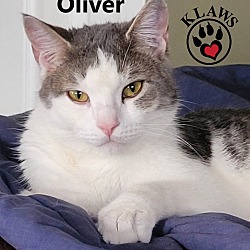 Thumbnail photo of Oliver #4