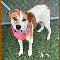 Thumbnail photo of DELTA #1