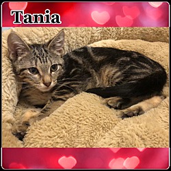 Photo of Tania