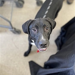 Photo of Clyde