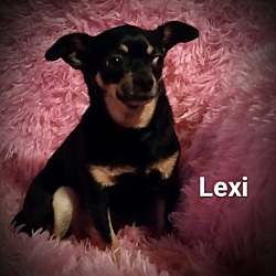 Thumbnail photo of Lexi #1