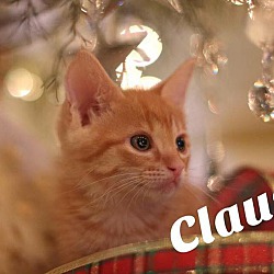 Photo of Claus