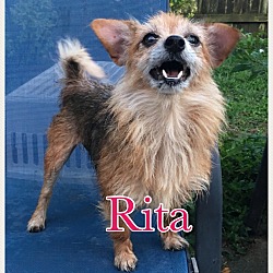 Thumbnail photo of Rita #1