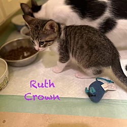 Thumbnail photo of Ruth Crown #4