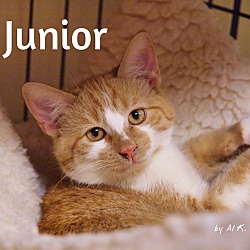 Photo of Junior