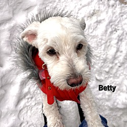 Photo of Betty