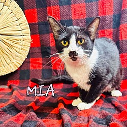 Thumbnail photo of Mia #3