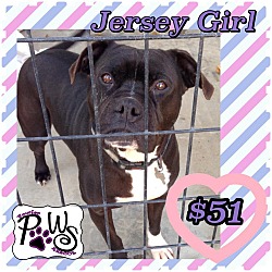 Thumbnail photo of Jersey Girl #3