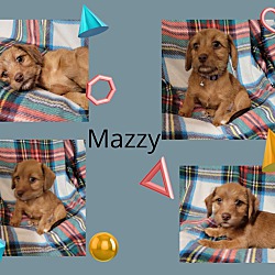 Photo of Mazzy