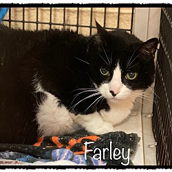 Thumbnail photo of FARLEY (R) #2