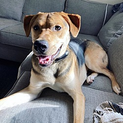 Photo of Mabel