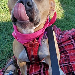 Thumbnail photo of Adora #1
