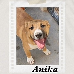 Thumbnail photo of Anika #2