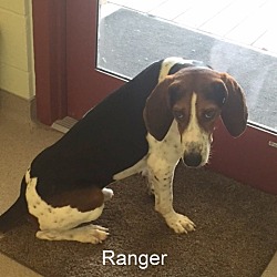 Thumbnail photo of Ranger #4
