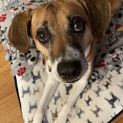 Photo of Sasha
