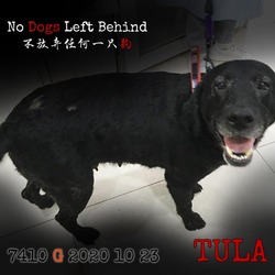 Thumbnail photo of Tula 7410 #2